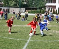 img_2852_r