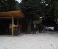 IMG_3862-r